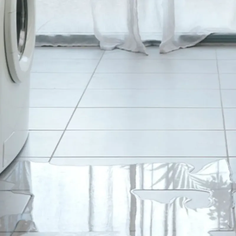 Appliance Leak Cleanup in Erie County, OH