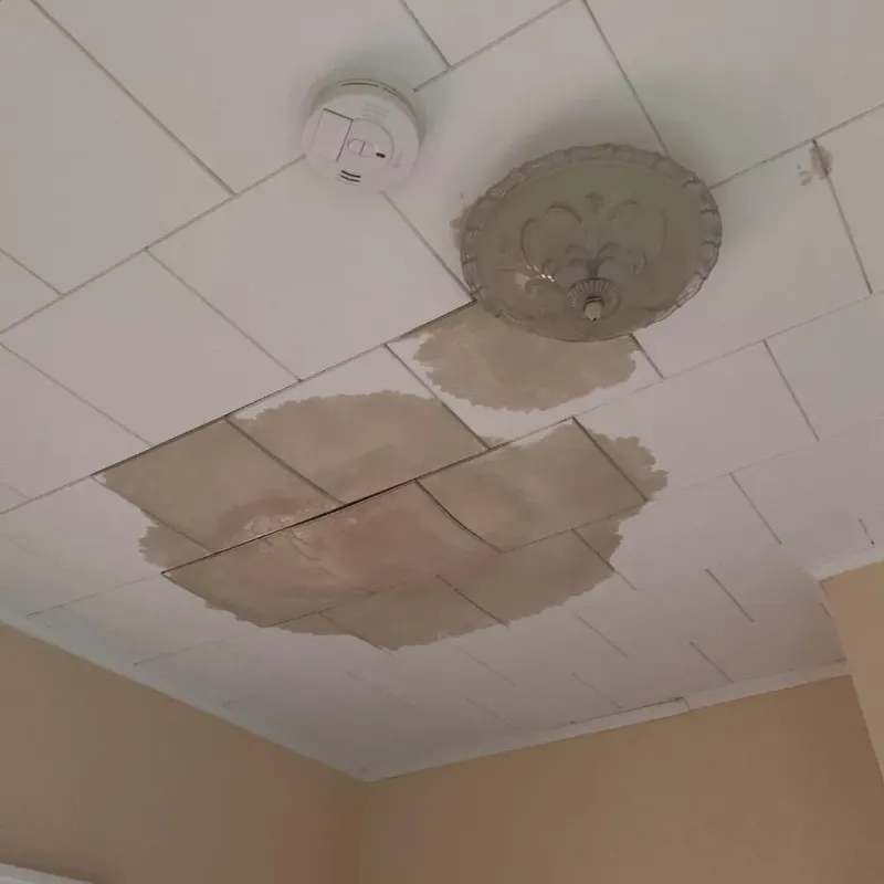 Ceiling Water Damage Repair in Erie County, OH