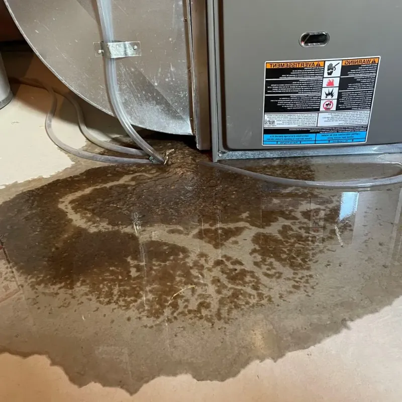 Pipe Burst and Leak Restoration in Erie County, OH