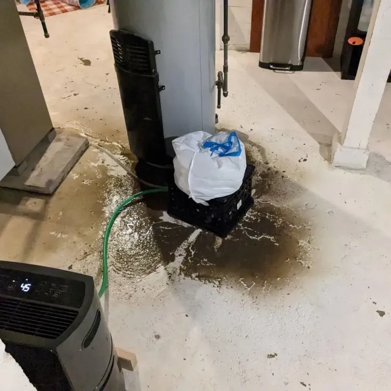 Sewage Backup Cleanup Service in Erie County, OH